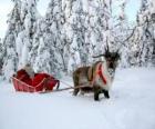 Санта-Клаус на санях с оленями на снегу